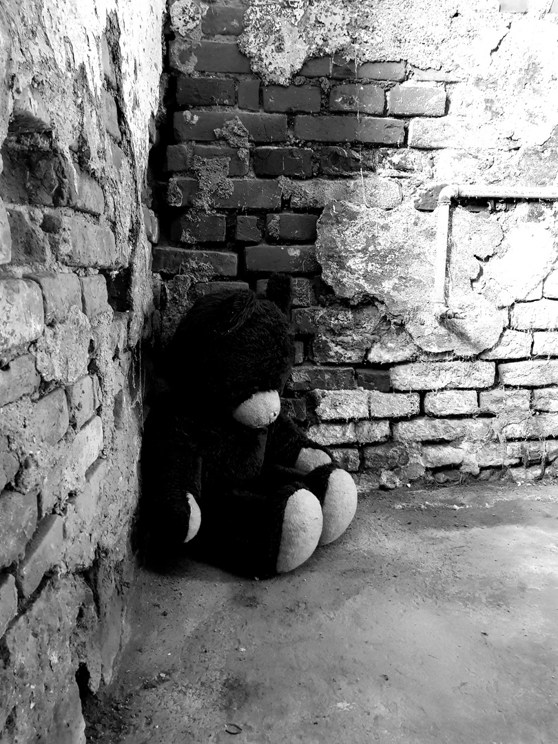 Teddy alone