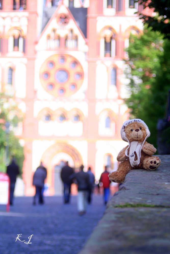 Teddy am Dom