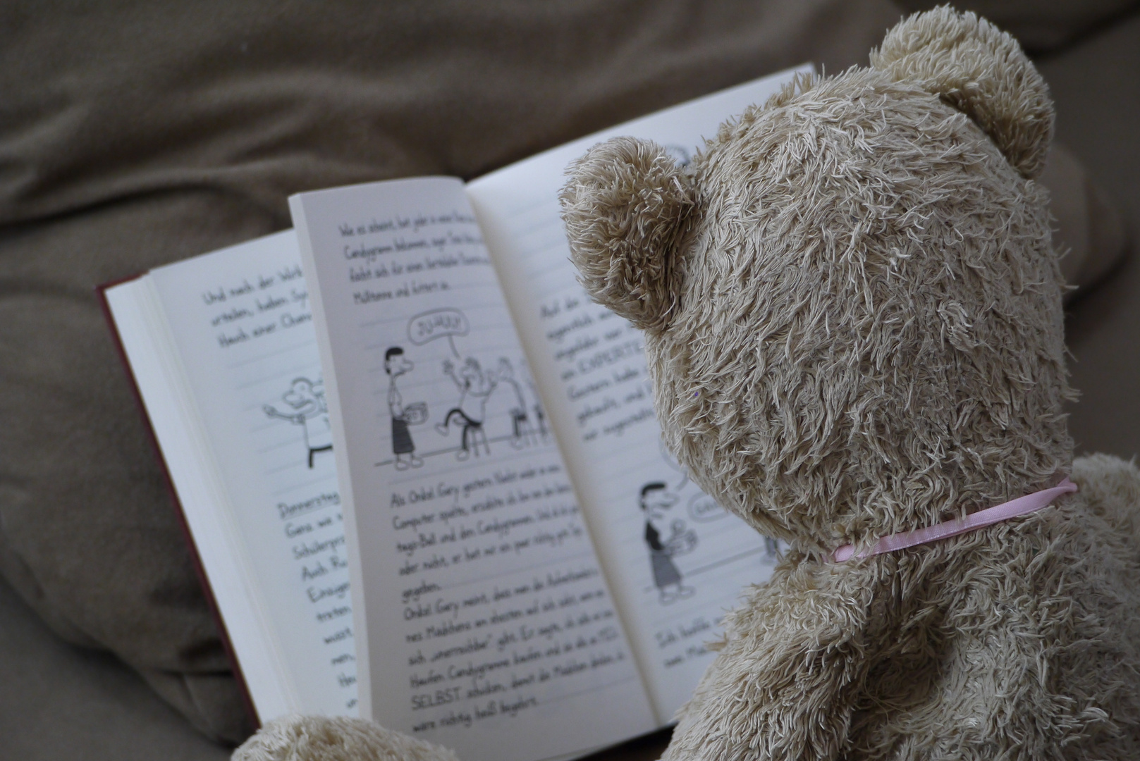 Teddy am lesen