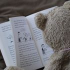 Teddy am lesen