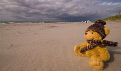 Teddy am Strand