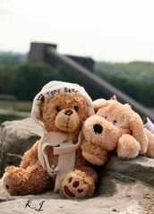 Teddy and Friend unterwegs auf Nordstern