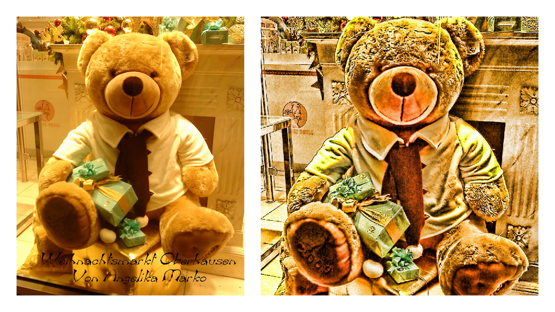 Teddy aus Schaufenster bei Douglas