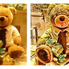 Teddy aus Schaufenster bei Douglas