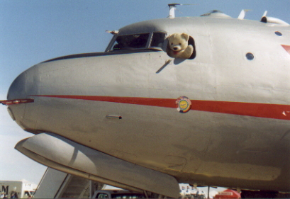 Teddy Bear is your pilot