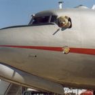 Teddy Bear is your pilot