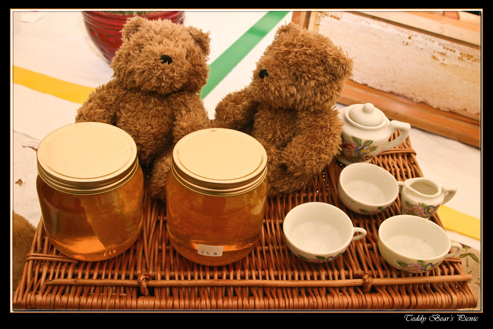 Teddy Bears Picnic