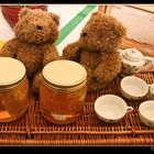 Teddy Bears Picnic