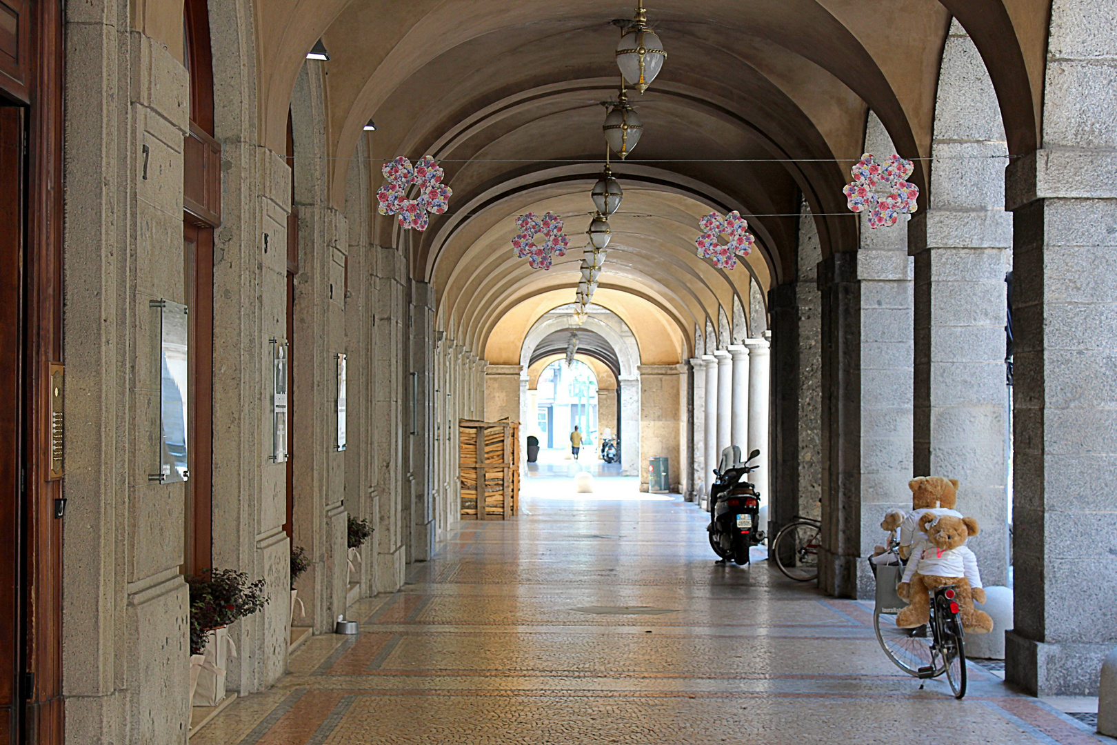 Teddy-Bike ...