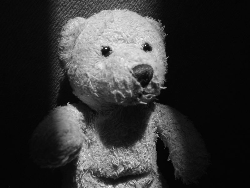 Teddy