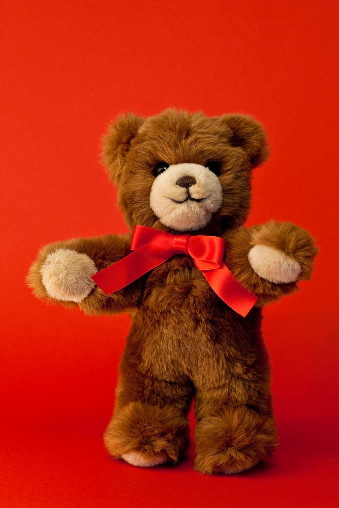 Teddy Fotoshoot