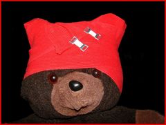 Teddy hat Aua