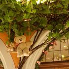 Teddy im Baum