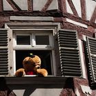 TEDDY IM FACHWERK