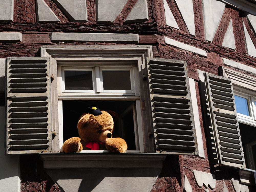 TEDDY IM FACHWERK