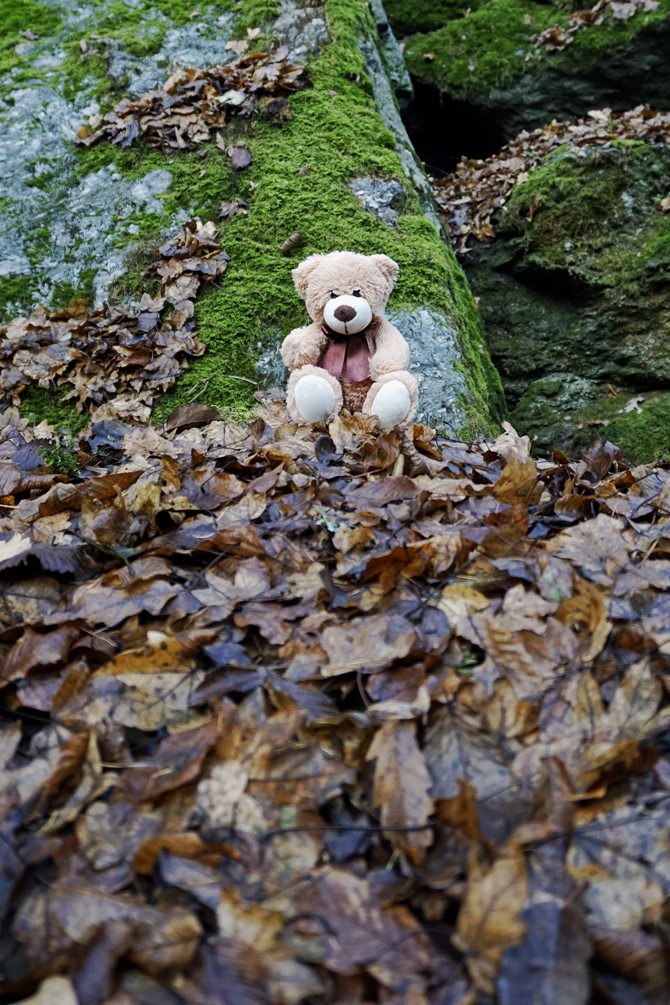 Teddy im Herbst