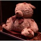 Teddy im Herbst