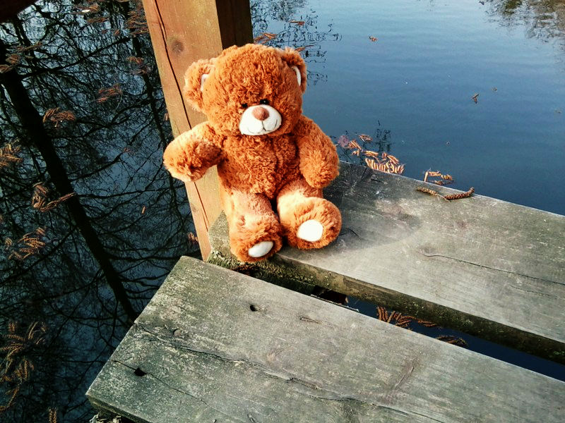 Teddy im Wald (3)