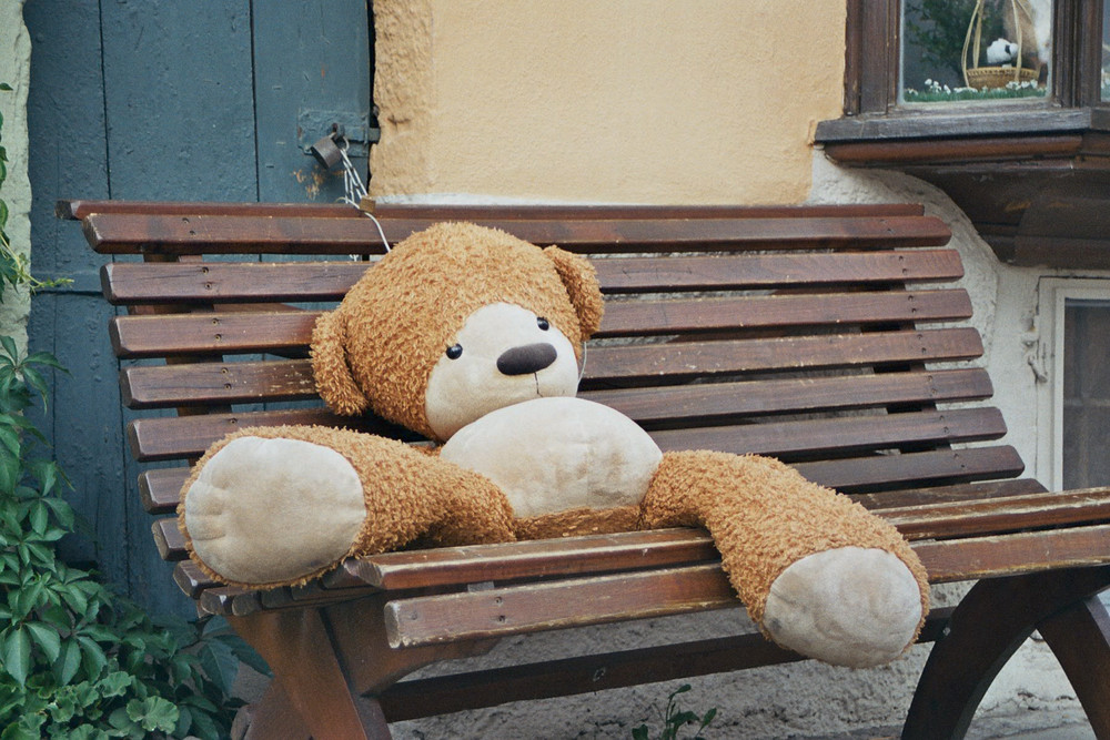 teddy in rothenburg