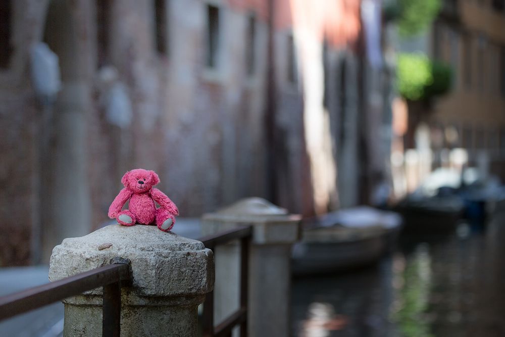 Teddy in Venedig