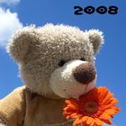 Teddy Kalender 2008