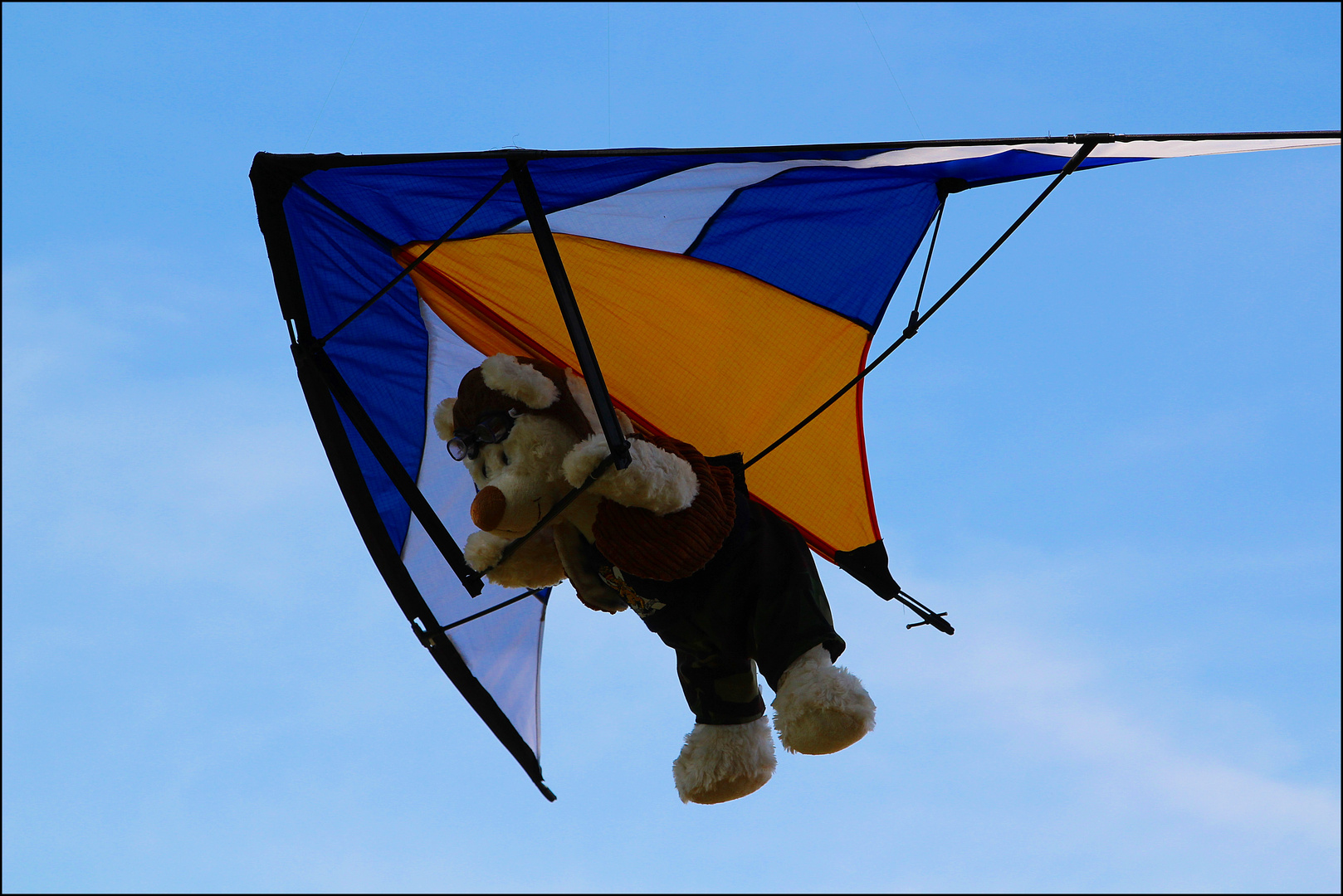 teddy krummfuss beim fliegen..