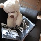 teddy liest leise über lange beine