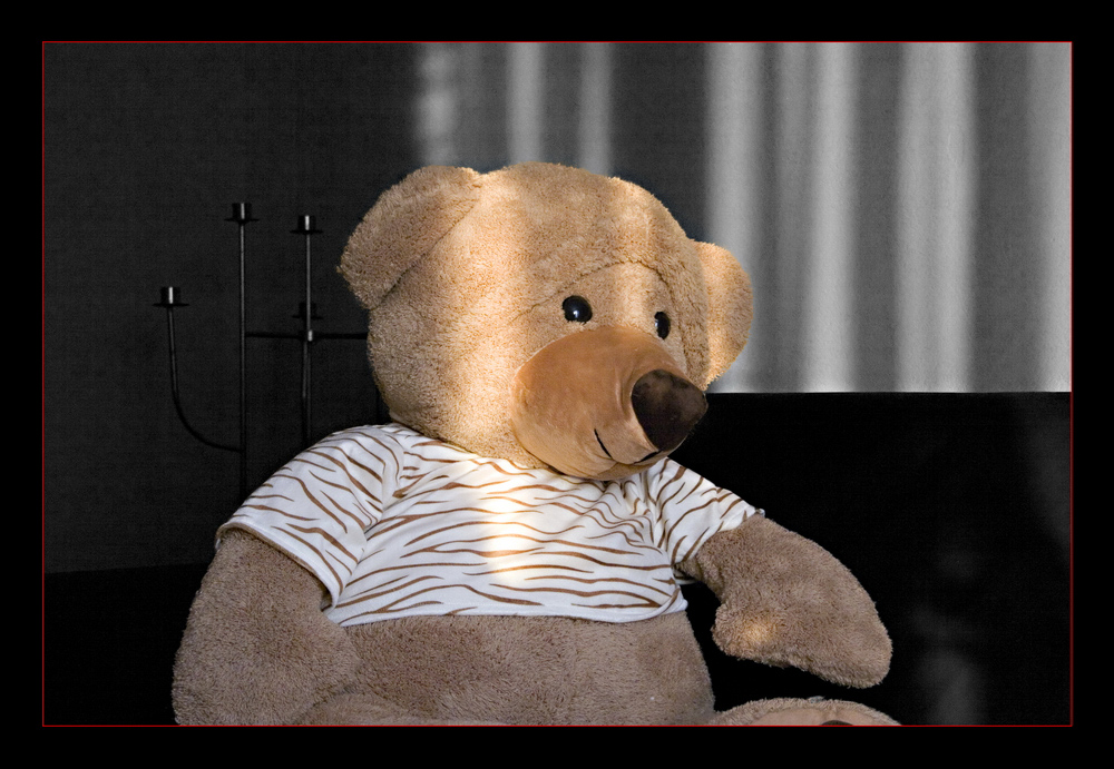 Teddy Lightroom IV