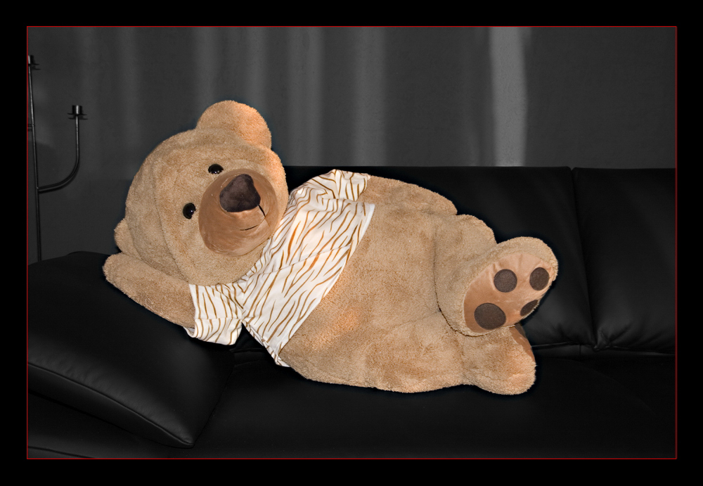 Teddy Lightroom V