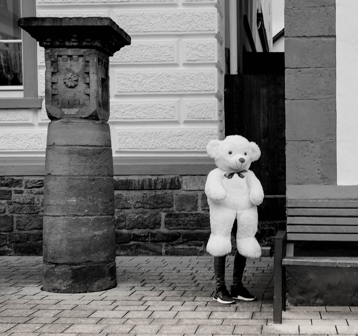 Teddy mit Beinen  