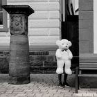 Teddy mit Beinen  