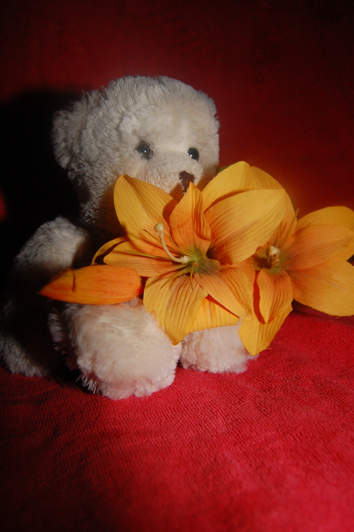 Teddy mit Blume 2