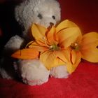 Teddy mit Blume 2