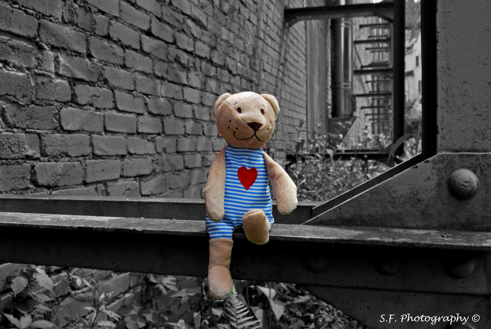 Teddy mit Herz