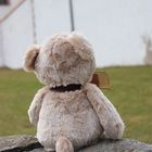 Teddy schaut zur Burg