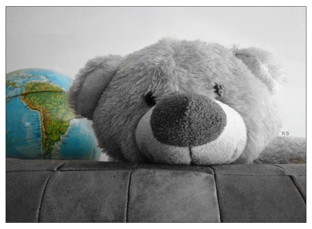 Teddy und die Welt