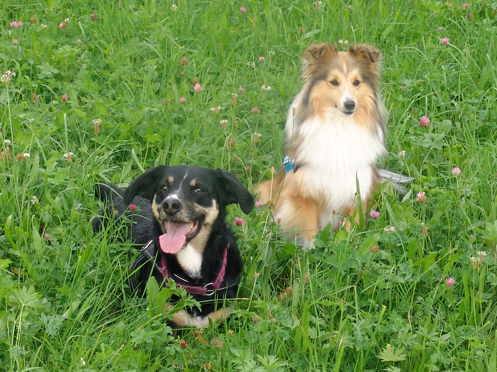 Teddy und Holly