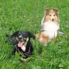 Teddy und Holly