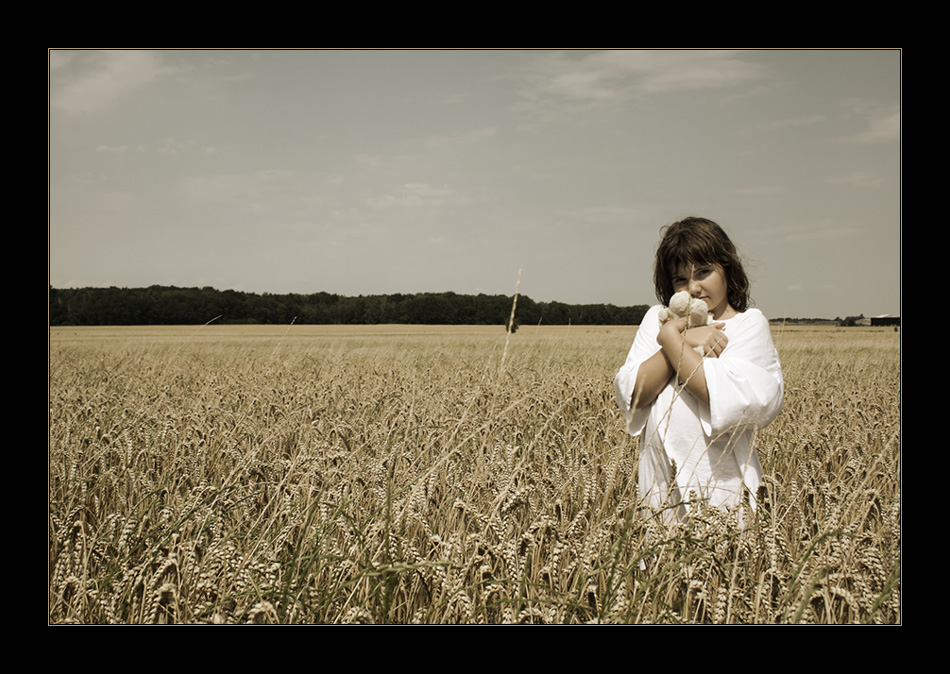 Teddy und Kornfeld