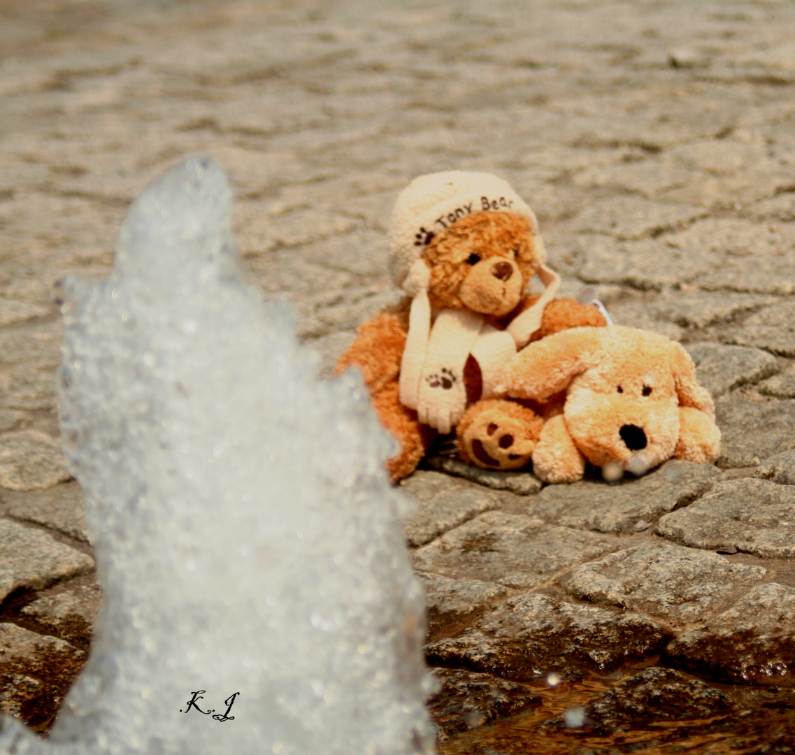 Teddy und Prinz bei einer kleinen Abkühlung auf Nordstern. Es war sehr heiß unter dem Pelz.