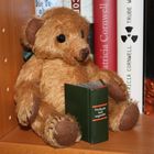 Teddy und sein Lieblingsbuch