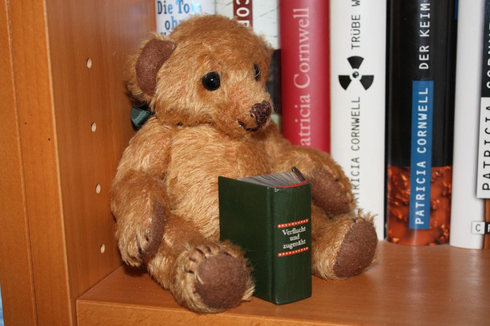 Teddy und sein Lieblingsbuch