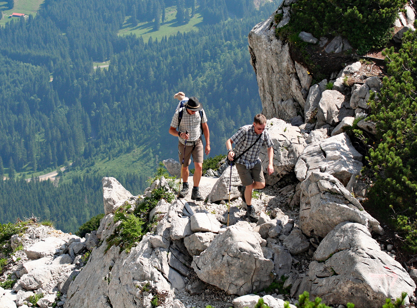 Teddy unterwegs am Klettersteig