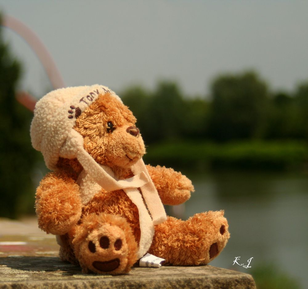 Teddy wartet am Kanal auf sein Freund , an der Anlegestelle des Nordstern Park