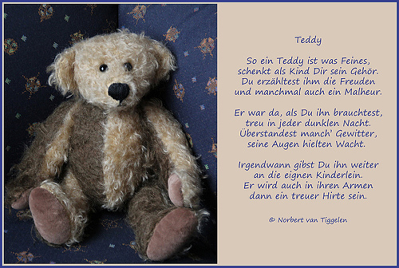 Teddybär