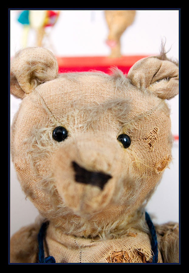 Teddybär..
