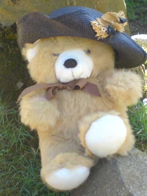 Teddybaer 