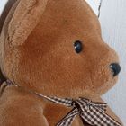 Teddybär