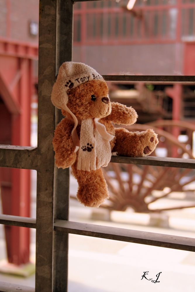 Teddybär auf Zollverein. Weltkultur Erbe 2010.