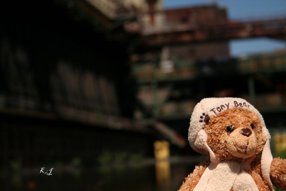 Teddybär beim Besuch des Weltkultur Erbe 2010 auf dem Gelände der Kokerei Zollverein.